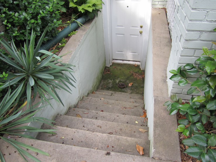 Front basement steps