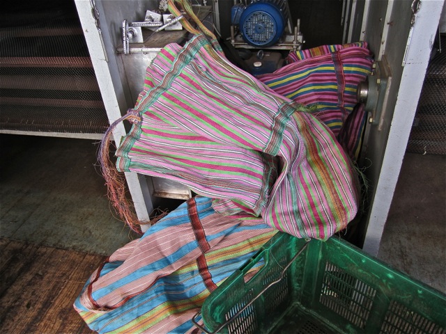 Factory - beautiful sacks