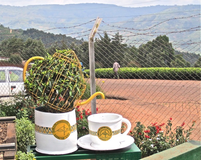 Factory - tea cup topiary