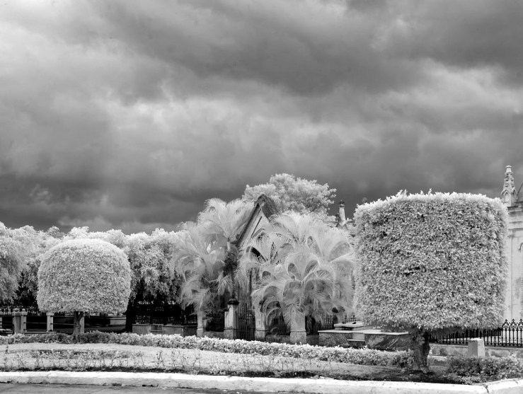 Necropolis de Colon, Havana, by C. Highsmith, 2010