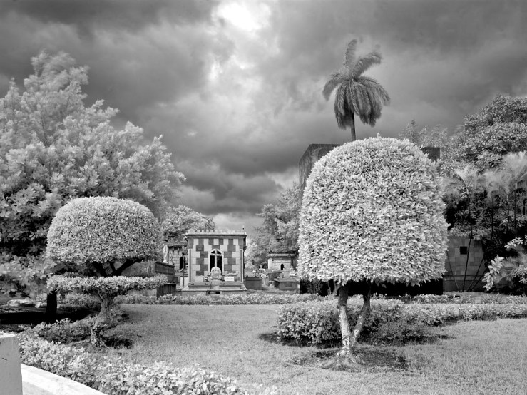 Necropolis de Colon, Havana, by C. Highsmith, 2010.