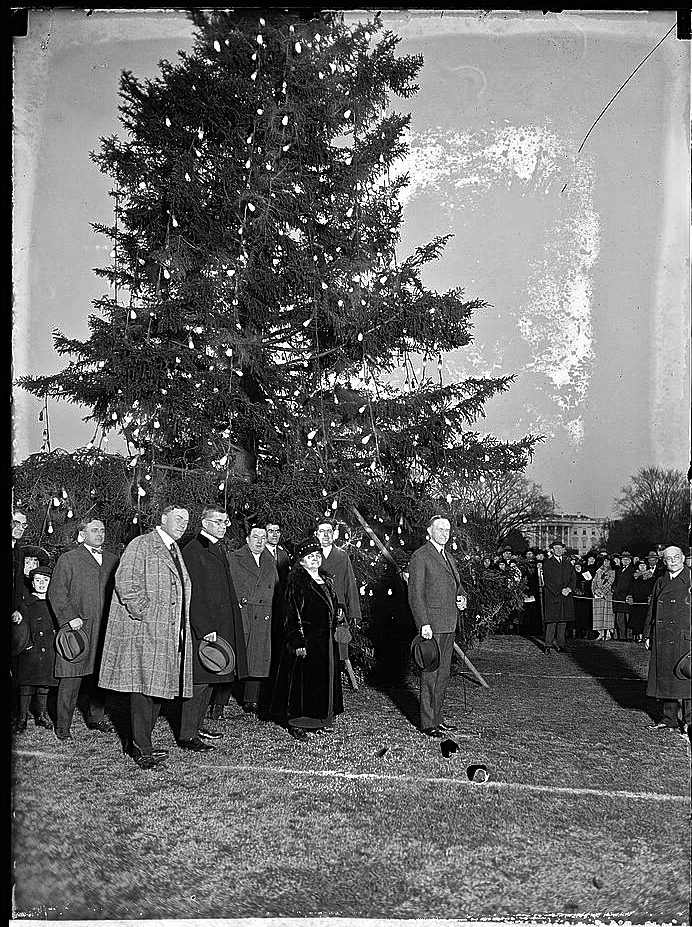 1923 tree lighting, LoC