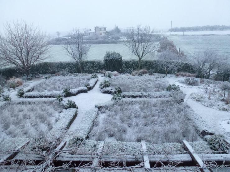 The garden after a January snow.