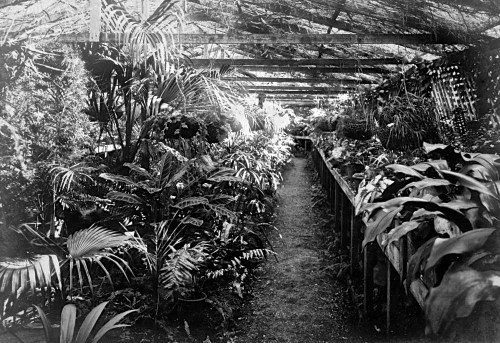 Merthyr Hse, Brisbane