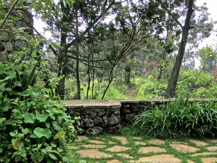 The path to the local village.