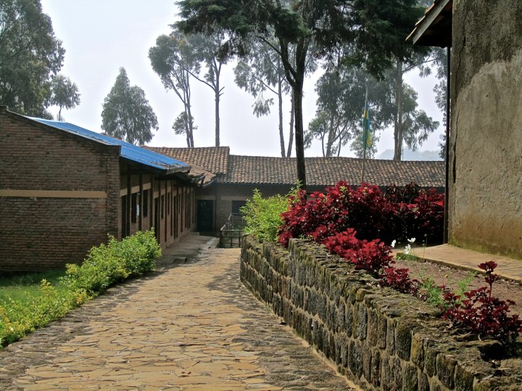 School dream -school