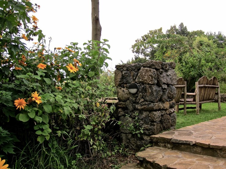 Sunflowers at the entrance to a garden room.