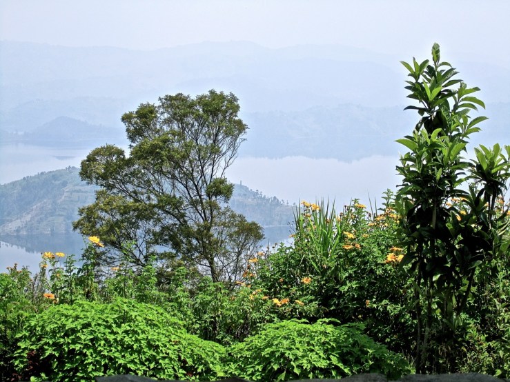 View from our table at lunch.
