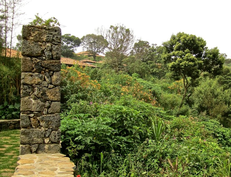 wildflowers beyond wall