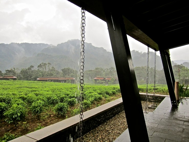 Nyungwe Forest Lodge, enclos*ure