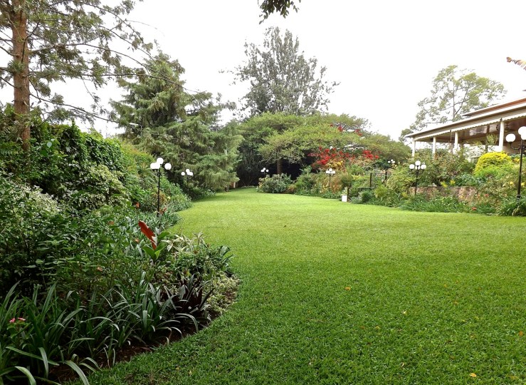 The long lower lawn from the south end.
