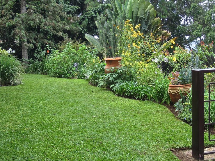 Our front border/enclos*ure