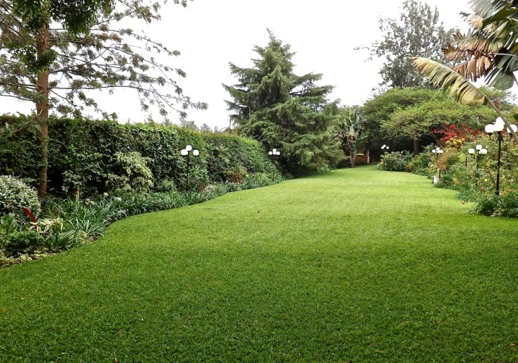 Our Kigali garden/ enclos*ure