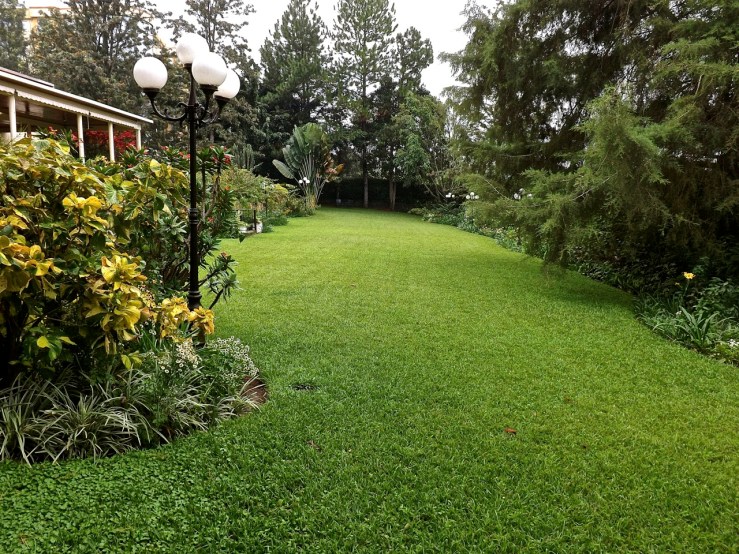 From the other end of the lawn.