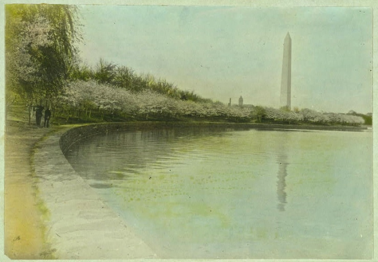 Tidal Basin, Washington, DC, c. 1920