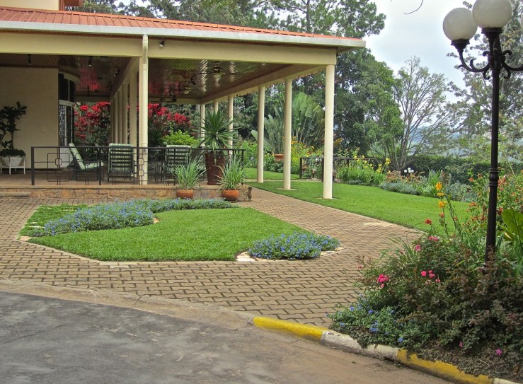 Front entrance and Evolvulus 'Blue Sapphire' blooming/enclos*ure