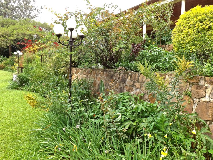 A yellow section of border in front of the retaining walls.