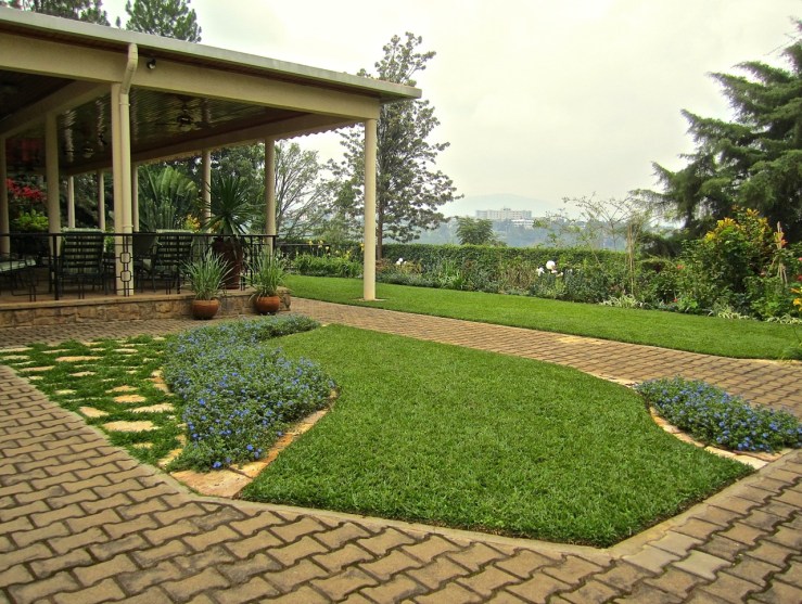 Entrance and Evolvulus blooming/enclos*ure