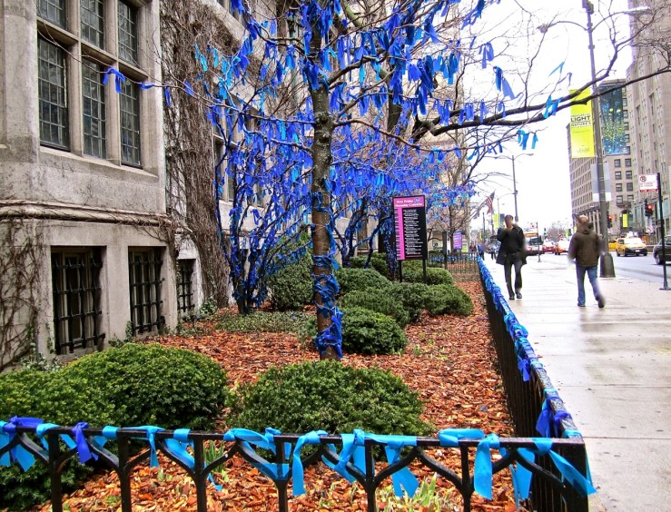 Ribbon tree in Chicago/enclos*ure