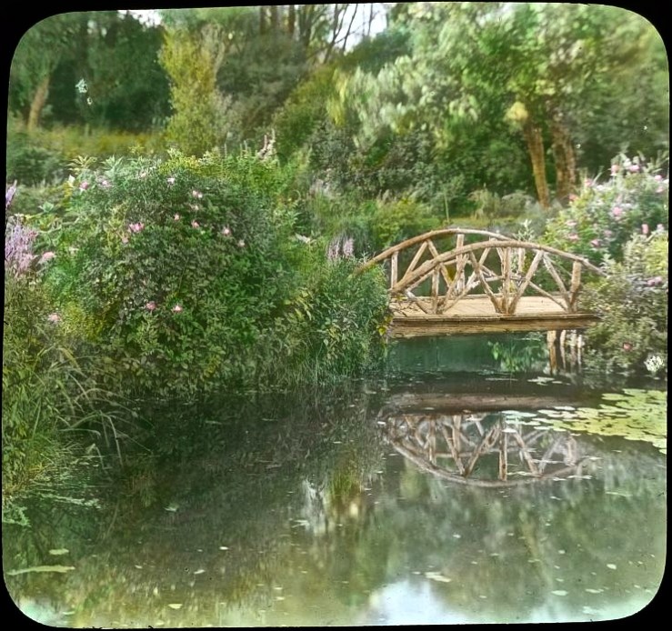 Japanese iris garden in East Hampton, NY/Library of Congress
