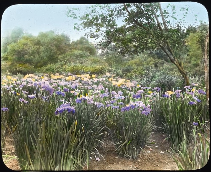 Grey-Croft, Library of Congress