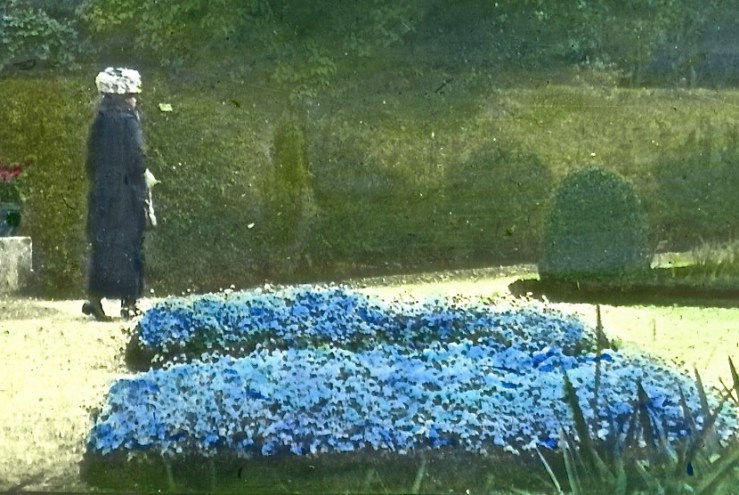 Bagatelle detail/enclos*ure 