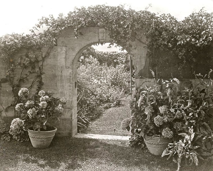 The original photograph before hand coloring.