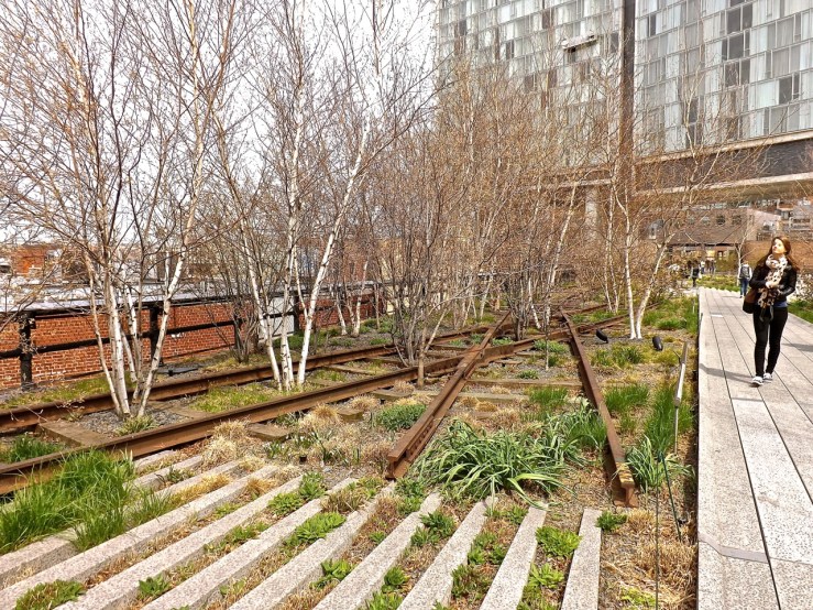 The High Line, NYC/enclos*ure