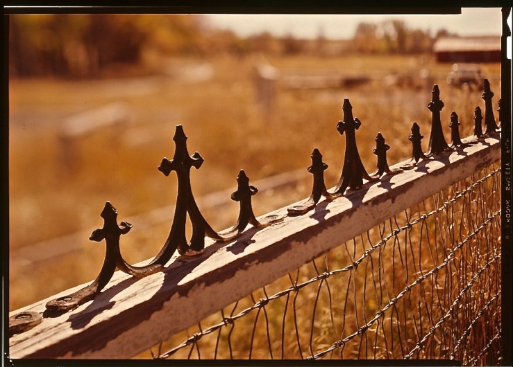 Cast iron fence detail, photo by Jack Boucher, Library of Congress/enclos*ure