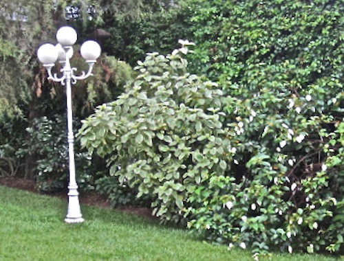 Our garden lightpost before painting/enclos*ure