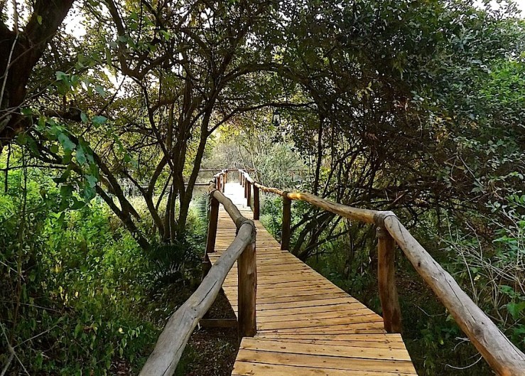 Boardwalk, Ruzizi Tented Lodge, Akagera National Park, Rwanda:enclos*ure