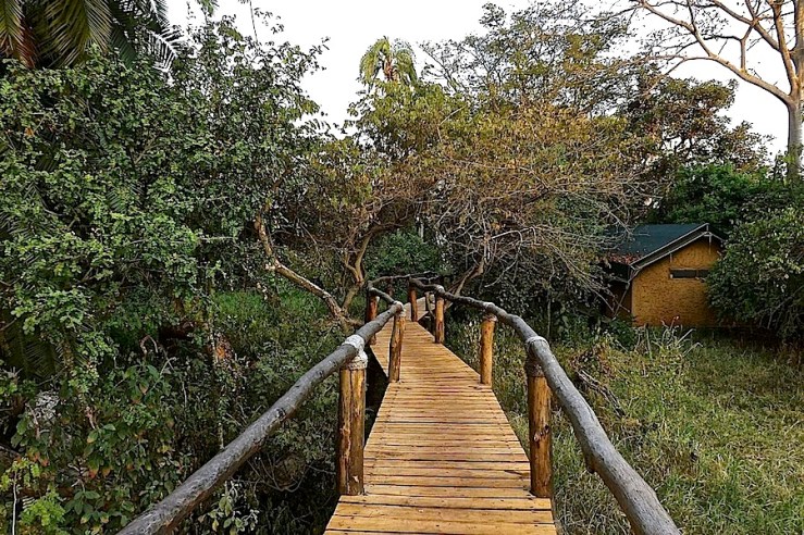 Boardwalk to tent, Ruzizi Tented Lodge, Akagera Natl. Park in Rwanda:enclos*ure