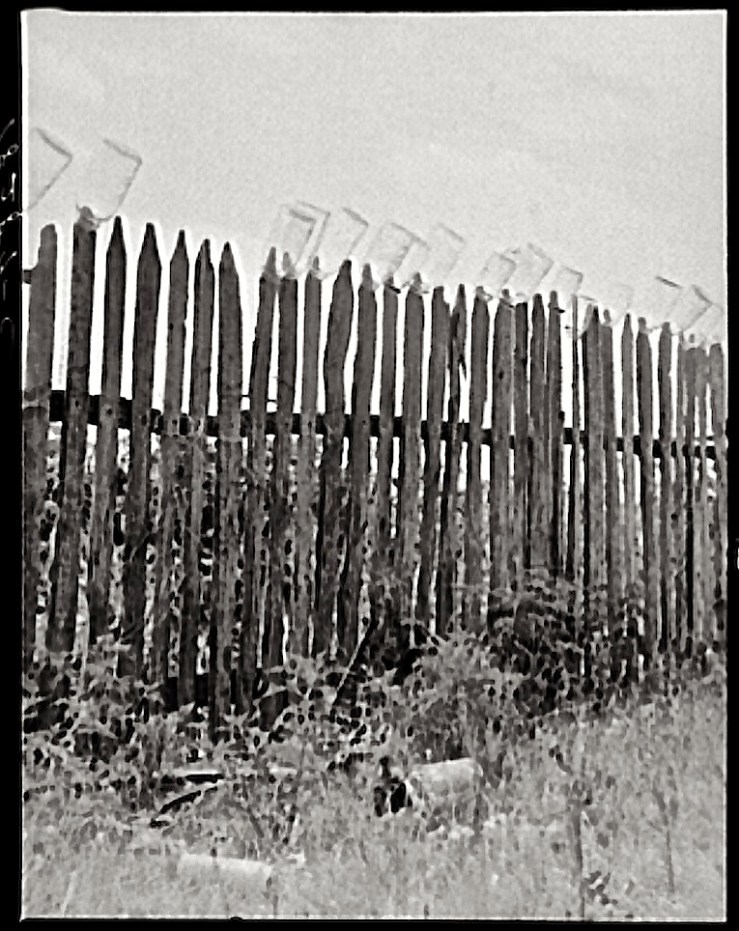 Fruit jars on fence, 1938, Dorothea Lange, Library of Congress/enclos*ure