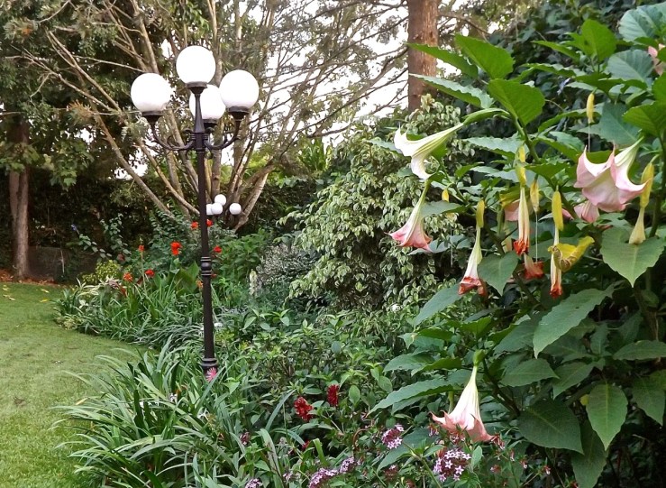 garden light/enclos*ure