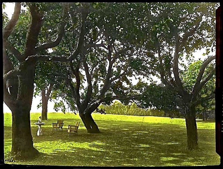 Grosse Pointe, Michigan, garden, 1930, Archives of American gardens, Smithsonian Institution