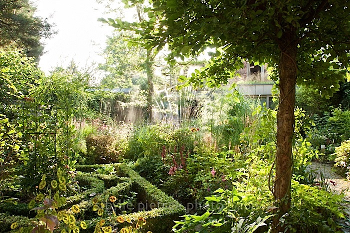 Small urban garden by Sibylle Pietrek, Gartenblick/enclos*ure