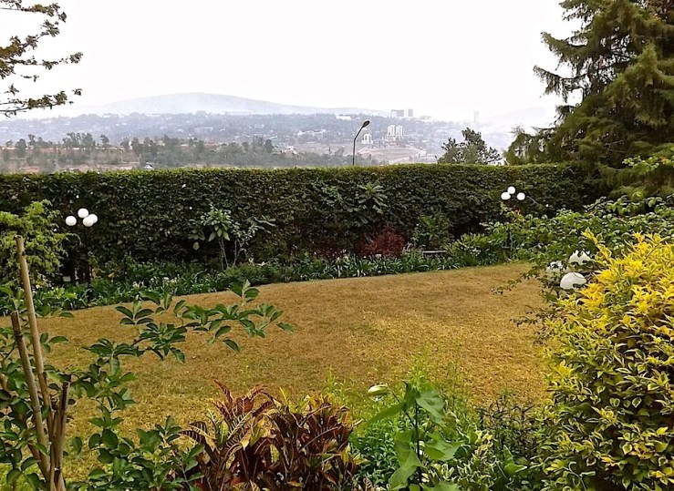 Our garden in the dry season/enclos*ure