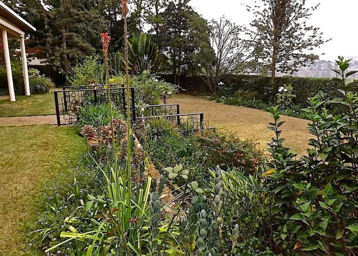 Our garden in the dry season/enclos*ure