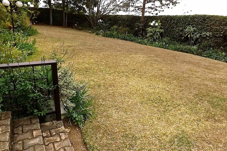 Our garden in the dry season/enclos*ure