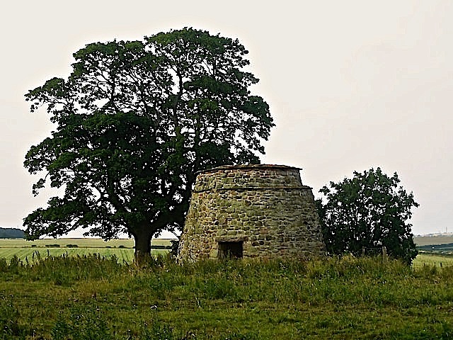 Restored medieval dovecoat, near Buckton, Northumberland, by Graham Robson.