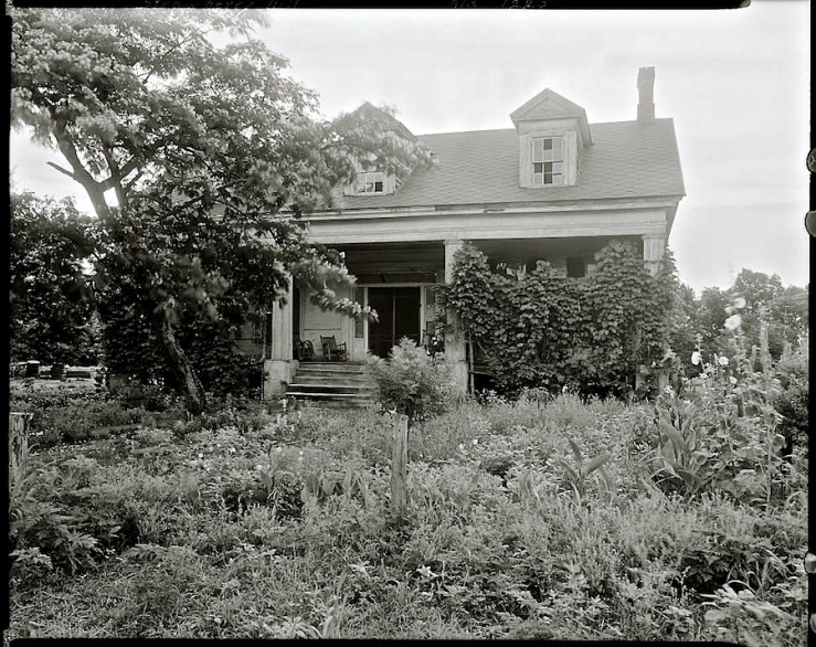 Vintage Photo of Strawberry Hill, Forkland vic., Greene County, Alabama, via Library of Congress Prints and Photographs Division 