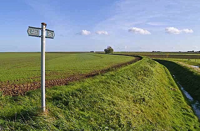 Footpath near Gedney Drove End, Lincolnshire, by Guy Erwood.  The ditch is the Old Sea Bank.