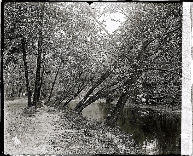 Rock Creek Park, Washington, D.C., ca. 1918-20, Natl. Photo Co. Collection, Library of Congress