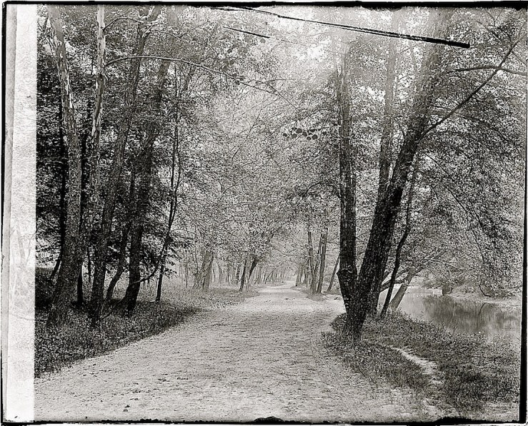 Rock Creek Park, Washington, D.C., ca. 1918-20, Natl. Photo Co. Collection, Library of Congress