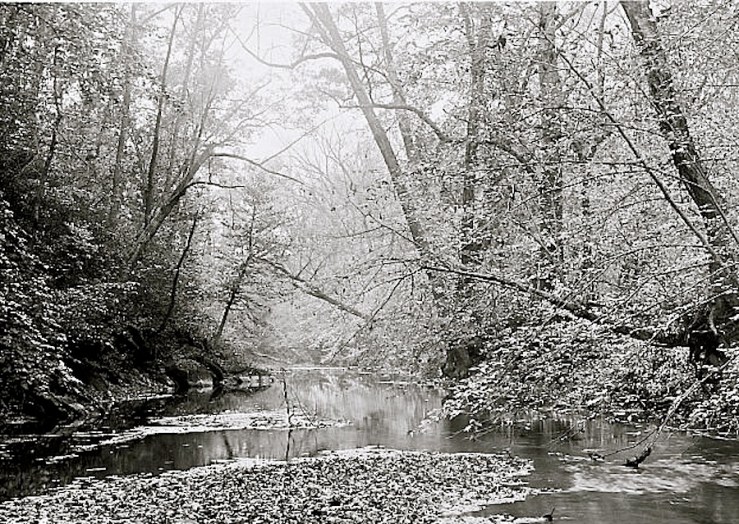 Rock Creek Park, Washington, D.C., ca. 1918-20, Natl. Photo Co. Collection, Library of Congress