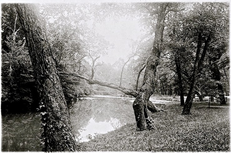 Rock Creek Park, Washington, D.C., ca. 1918-20, Natl. Photo Co. Collection, Library of Congress