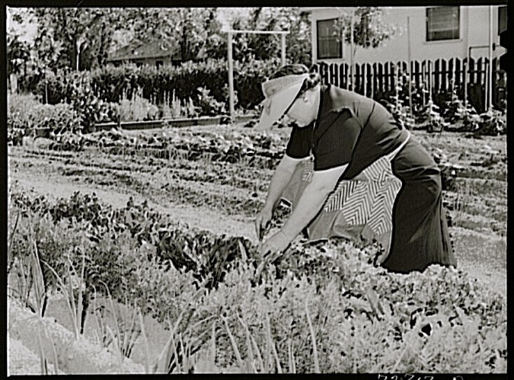Tending the garden, Turlock, CA, 1943, by Russell Lee, Library of Congress