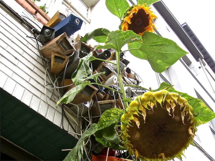 Gallery in Dansaert, Brussels/enclos*ure