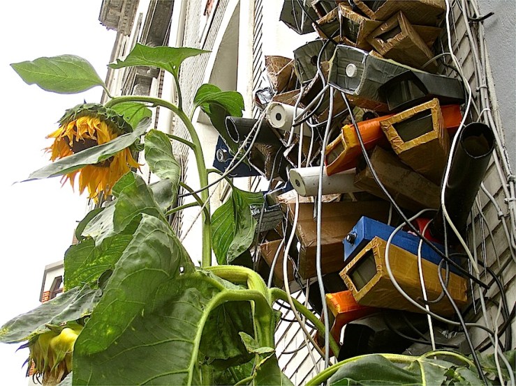 Gallery in Dansaert, Brussels/enclos*ure