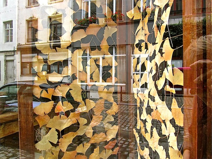 Gallery in Dansaert, Brussels/enclos*ure